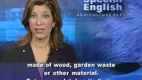 Luyện nghe tiếng Anh qua video VOA Có phụ đề tiếng anh