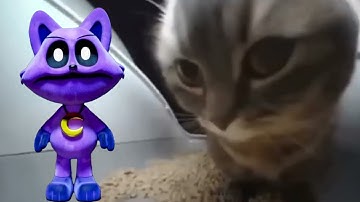 Poppy Playtime 3: GH