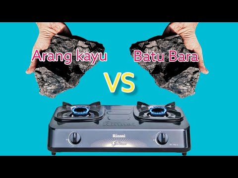 Video: Apakah batubara aman untuk ikan?