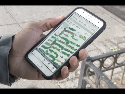 NYC Street Tree Map