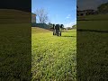 TRAXXAS XMAXX REVERSE WHEELIE - WTF!