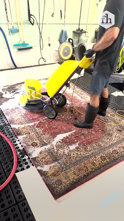 Satisfying Deep Cleaning of Dirty Rug #Shorts #Cleaning #Homeowner #Satisfying