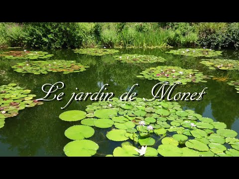 [4K] Monet's Garden Marmottan in Kitagawa Village ~Water Garden~ ☆ 北川村「モネの庭」マルモッタン ~水の庭~