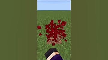Breaking nether wart block | #shorts