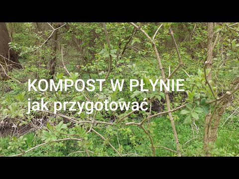 KOMPOST W  PŁYNIE - jak go przygotować?