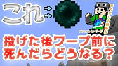 マインクラフト エンダーチェストは渡さない まぐにぃのマイクラマルチ 番外編 Youtube