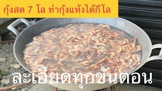 กุ้ง 7 โล ทำกุ้งแห้งได้กี่โล //วิธีทำกุ้งแห้งละเอียดทุกขั้นตอน//HD// จุ๊จุ๊ ออนทัวร์ EP:393