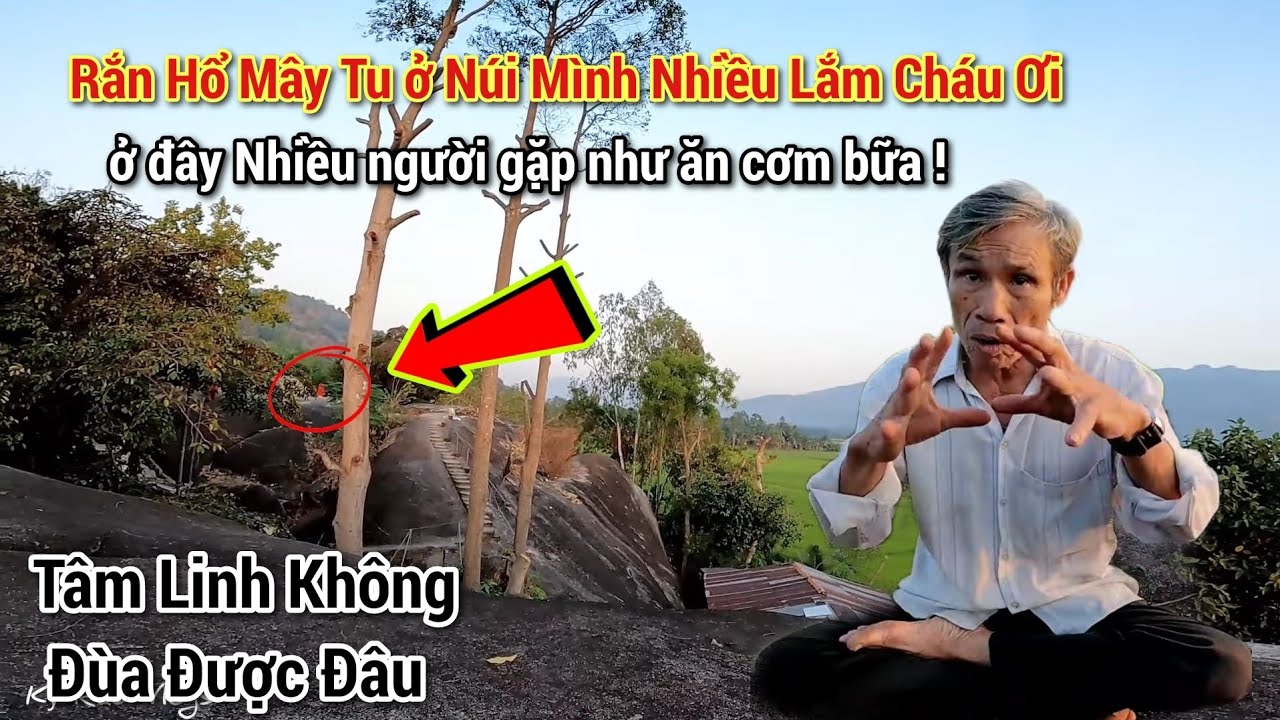 Những câu chuyện 