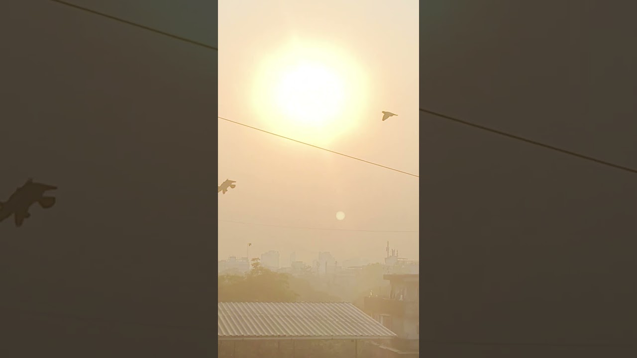 Free Aesthetic Sunset Clip 5 | Cinematic Sunset Video for Editing | Free Stock Footage