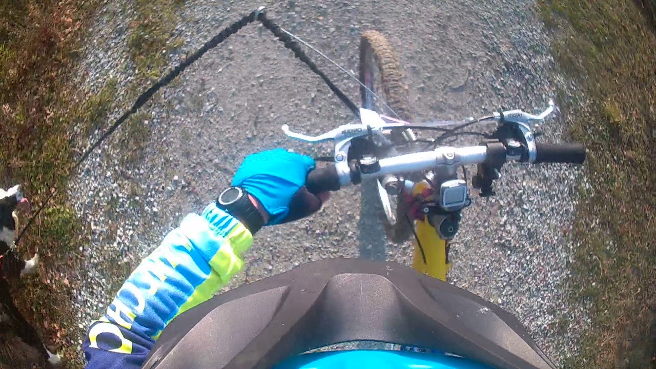 clementino race bikejoring santarcangelo 21012018 YouTube