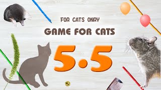 【CAT GAMES】MIX5.5 Rope,Mouse,etc.30min. screenshot 1