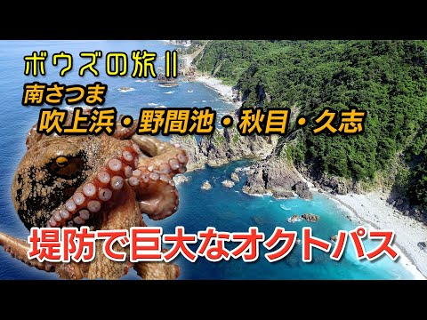 Youtube チャンネル ココ見てtv 九州熊本天草の釣りを紹介 Youtube チャンネル ココ見てtv 九州熊本天草の釣りを紹介