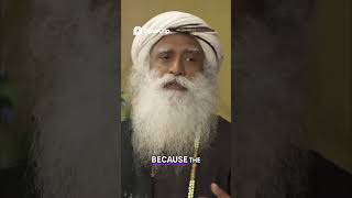 Fix Your Problems: Learn to Handle Life's Snails #Sadhguru #Wisdom #Mindset #trending #viral #shorts