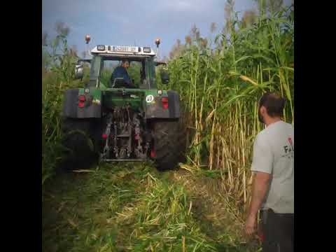 Faucheuse conditionneuse 3125