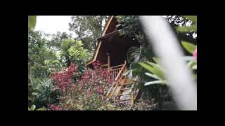 Lirik Video SlowRock Melayu Terbaru 2021 Elsa Pitaloka Rasaku Jadi Beku[Official Lyric Music Video]
