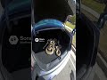 Cops find snakes #funny #policecorruption #police #policeofficer #memes #lawenforcement #animals