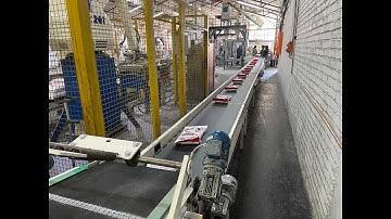 5KG TO 50KG AUTOMATIC WEIGHING, BAGGING AND ROBOTIC PALLETISING LINE