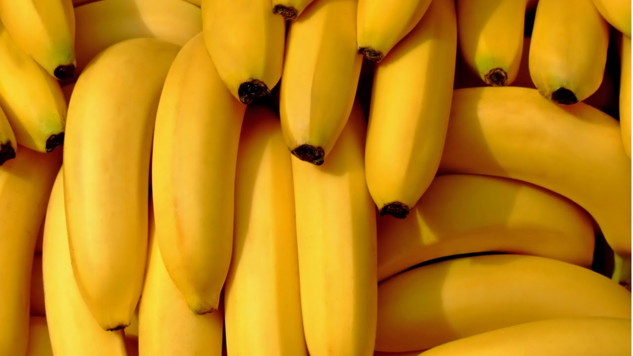 Curso de Produção de Banana online