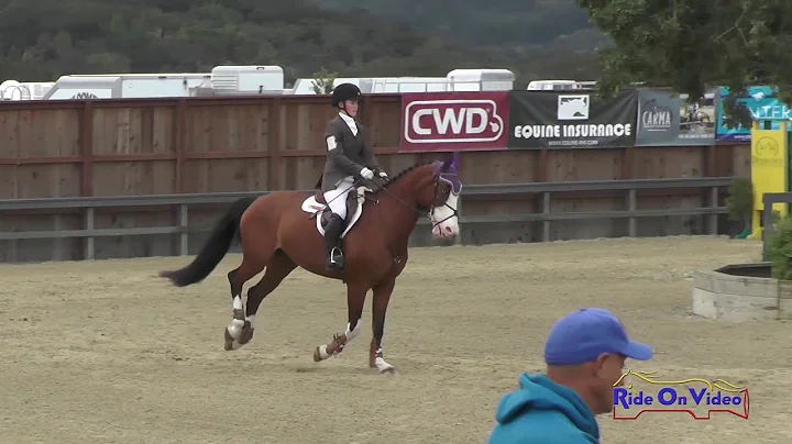 277S Rebecca Severt on Zena Novice Horse Show Jump...