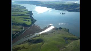 Science Talk: Rebuilding California Estuariesthrough Restoration of Native Olympia Oysters