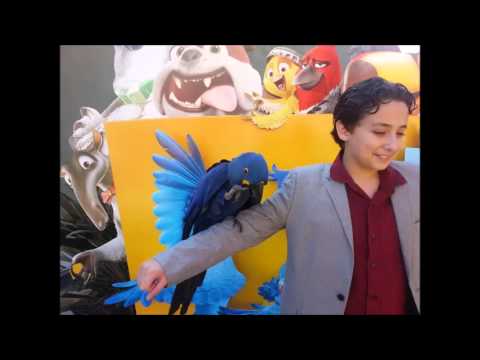 Rio 2 Interviews with Gerry O. KIDS FIRST!