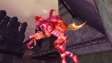 Dolphin Emulator Shader Cache Compilation Glitch