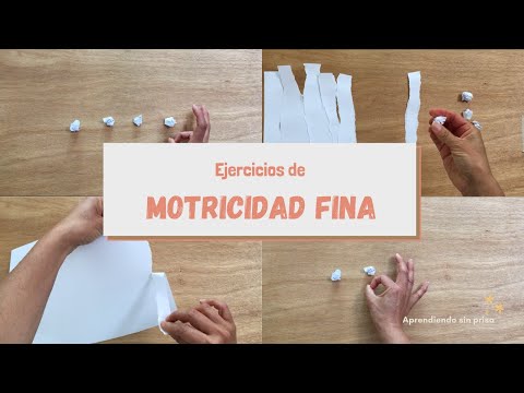 Video: 3 formas de trabajar en la motricidad fina