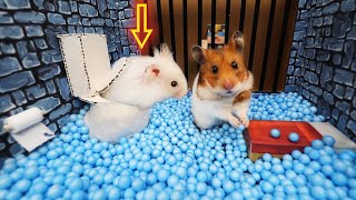 🐹Hamster Escapes the Awesome Prison Maze🐹 Cockroach Story [Syrian Hamster Edition]