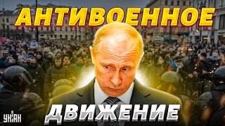 В России вспыхнуло антивоенное движение. Госдума в ответ готовит 