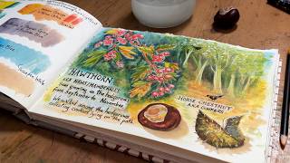 This mixed media experiment really worked! Colored pencil on watercolor, nature study: fall berries