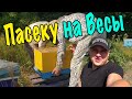 Ревизия Пасеки за 7 часов 🐝 Дотация Пчеловодам 2021 ✅ Пчеловодство Украины ✅