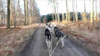 Film 20120311.wmv