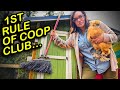 Chicken coop rules that will change your life