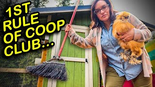 Chicken Coop Rules that will Change Your Life