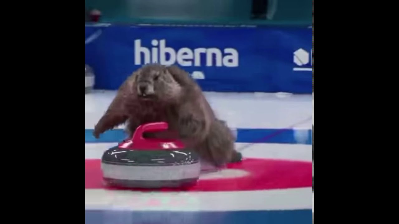 Beavers Curling