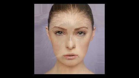 NTU VFX 2012 Assignment #1 Image Morphing 11