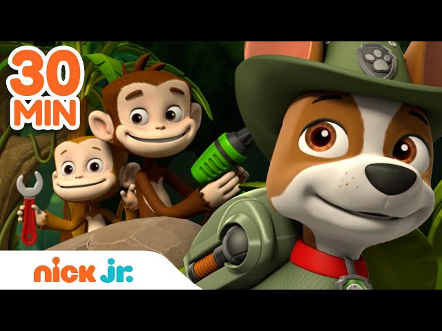 Patrol Jungle Rescues w/ Tracker! 🐵 | 30 Minute Compilation | Nick Jr. YouTube