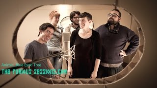 Animic - Blue Eyed Tree  | The Furious Sessions at Sol de Sants Studios (Barcelona)
