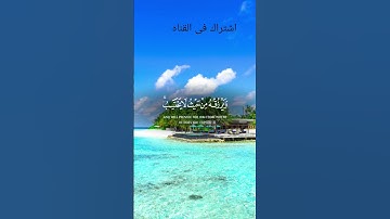 قرآن كريم #اكسبلور تلاوة_خاشعة #بسم الله #الرحمن #الرحيم