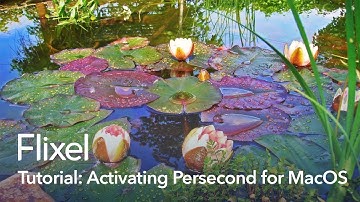 How to Activate Persecond for macOS License | Flixel Tutorial