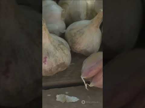 خواص بی نظیر سیر برای بدن درمان طبیعی فشار خون کلسترول و سم زدایی بدن