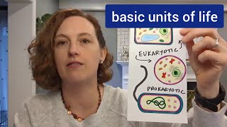 Eukaryotic vs Prokaryotic Cells--Coloring and Venn Diagram