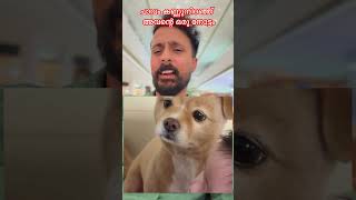 പാവം ദയനീയമായുള്ള അവന്റെ ഒരു നോട്ടം🥺❤️❤️ #dog #doglove #doglife