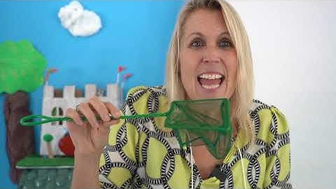 Lesson 7 - Reception