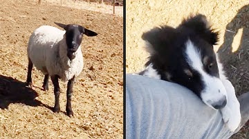 First Day on the Job