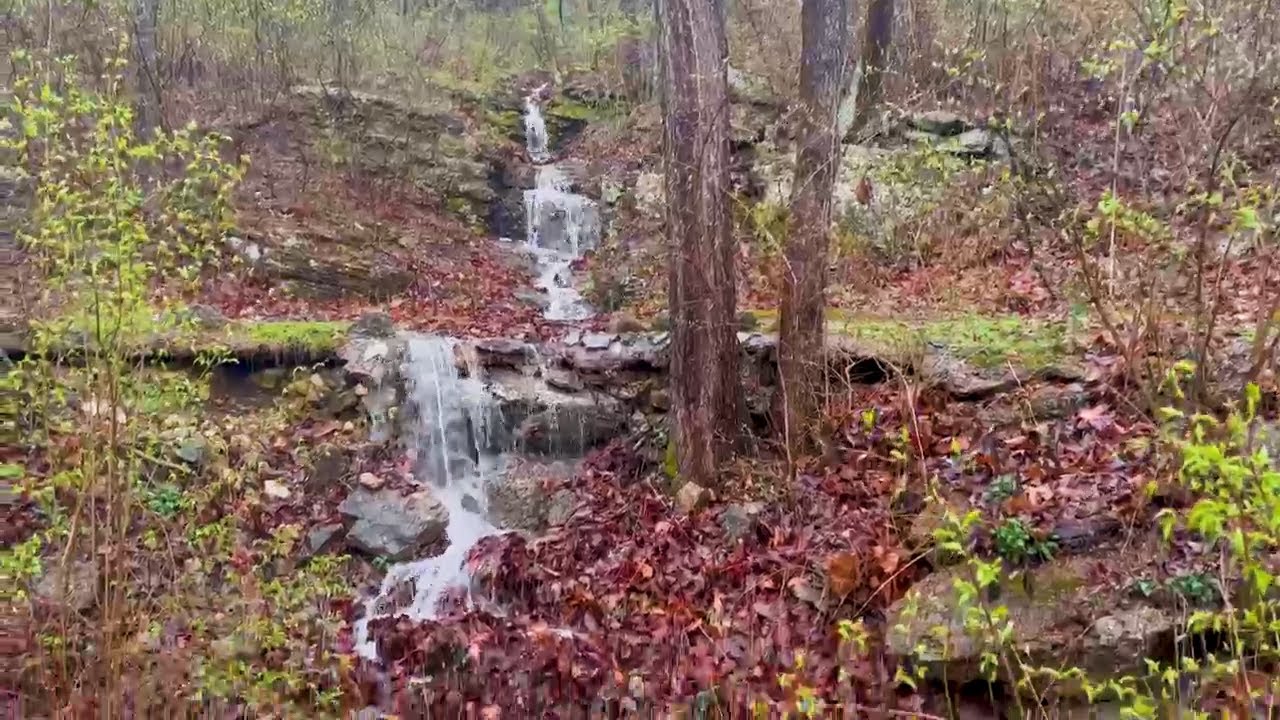 814 Bald Hill, Eureka YouTube