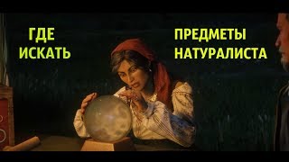 Red Dead Online где искать Предметы Натуралиста Red Dead Online где искать Предметы Натуралиста