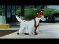 Oliver And Company - Why Should I Worry (English)