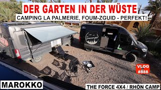 #888 Unterwegs im Wüstengarten | Der Co-Pilot büxt aus | CAMPING LA PALMERAIE Foum-Zguid, Marokko