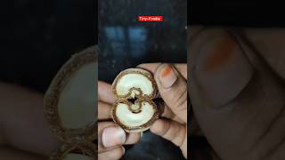 Cashew nuts tiny-foodieyttrendingnutshealthy reels viralshorts